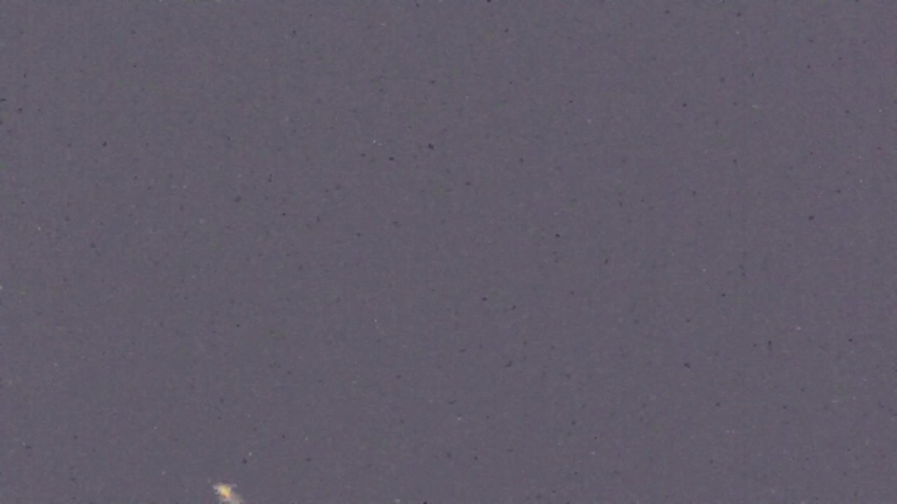 Borderless webcam of Nova Gorica and Gorizia