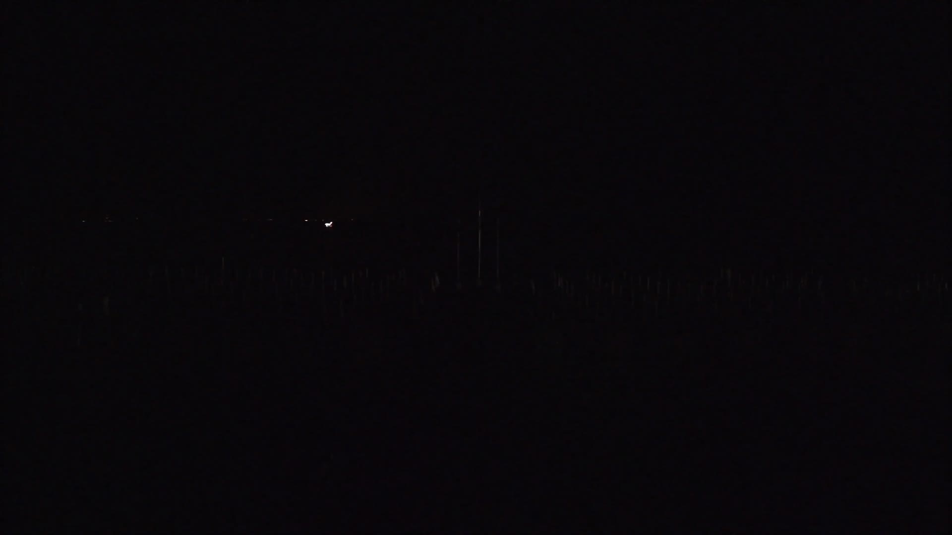 Grado Beach Webcam Entrance | Real-Time View of the Seaside