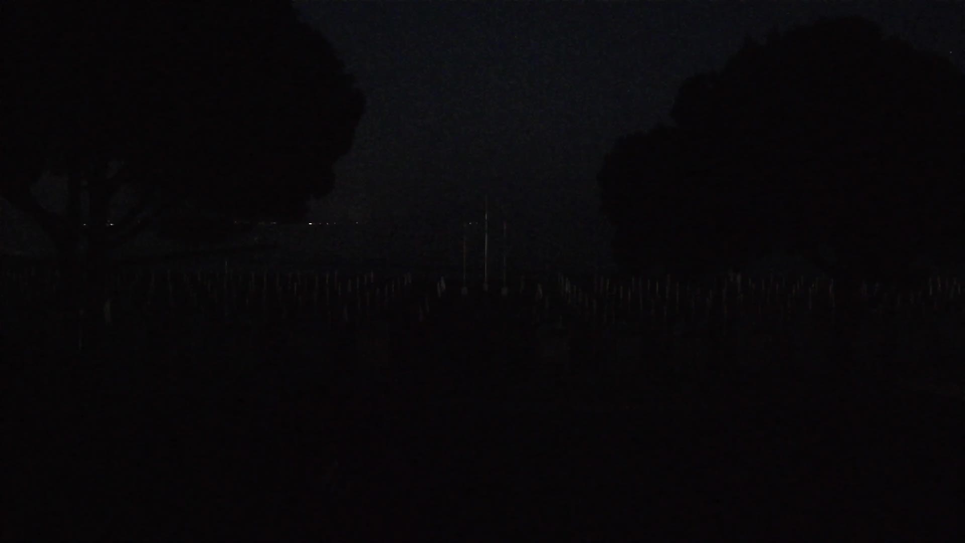 Grado Beach Webcam Entrance | Real-Time View of the Seaside