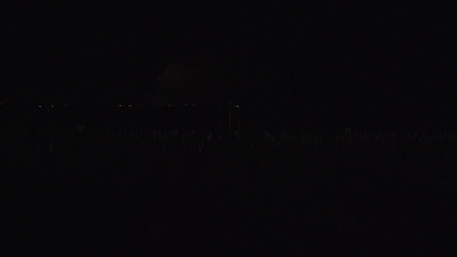 Grado Beach Webcam Entrance | Real-Time View of the Seaside