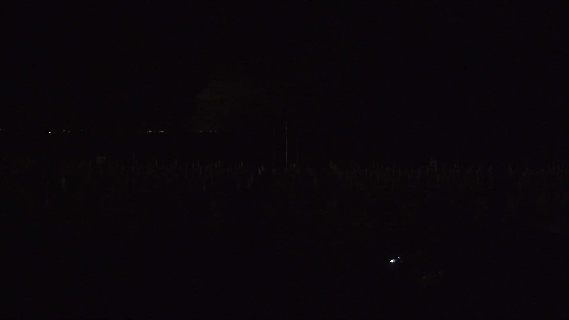 Grado Strand Eingang | Live-Ansicht der Küste