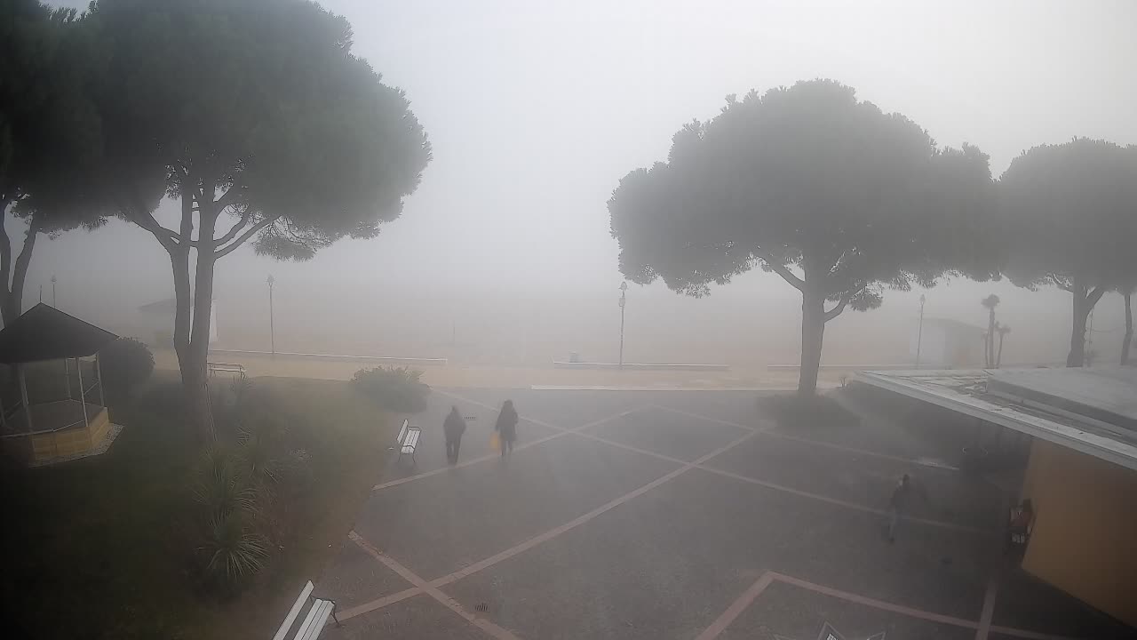 Gradež Vhod na Plažo: Pogled v Živo na Obalo