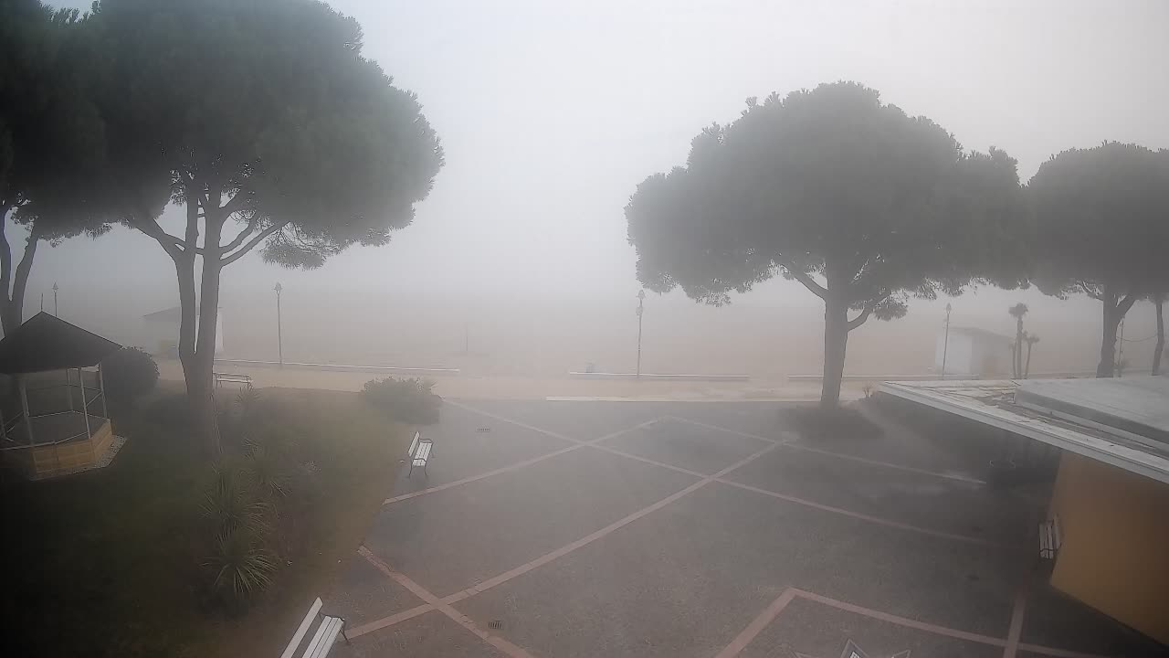 Gradež Vhod na Plažo: Pogled v Živo na Obalo