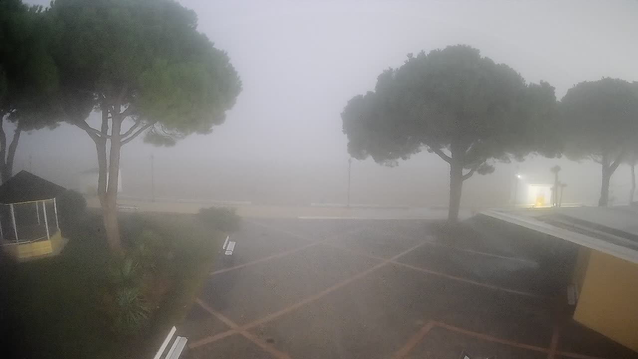 Gradež Vhod na Plažo: Pogled v Živo na Obalo