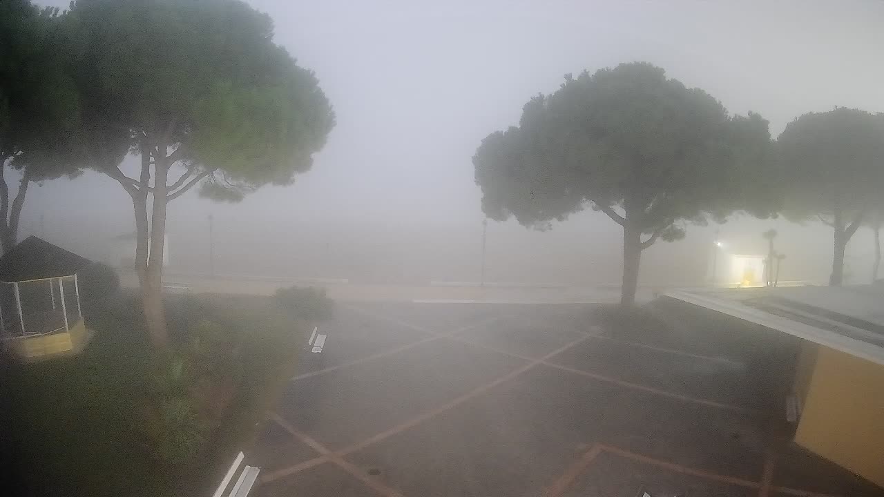 Gradež Vhod na Plažo: Pogled v Živo na Obalo