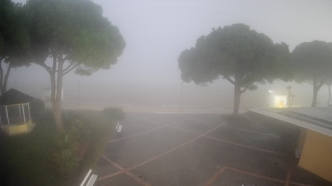 Gradež Vhod na Plažo: Pogled v Živo na Obalo