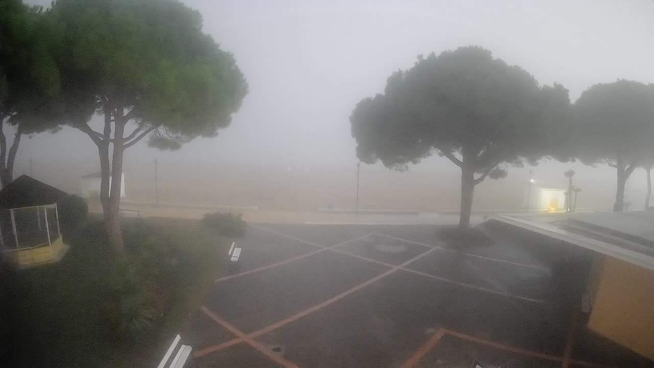 Entrada Playa Grado | Vista en Vivo de la Costa
