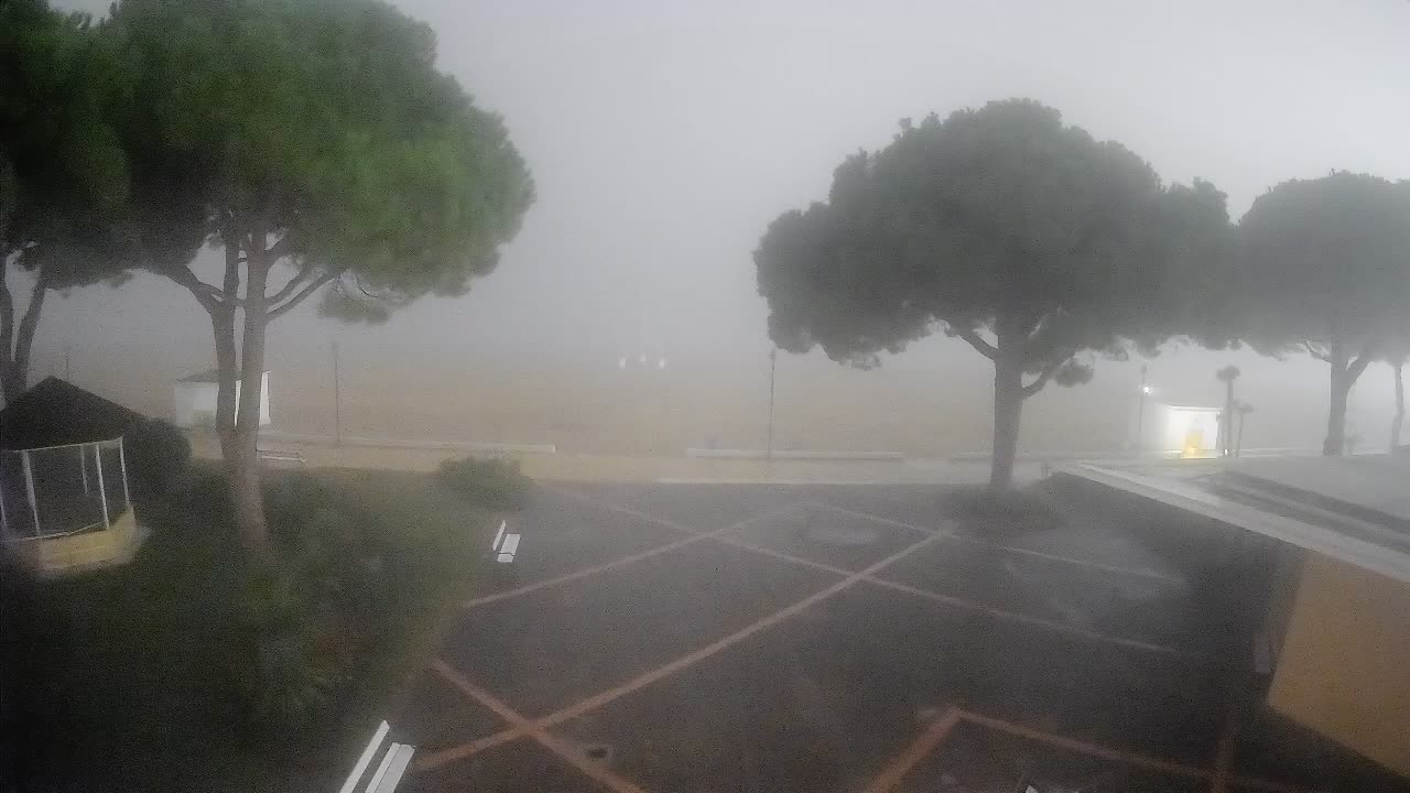 Gradež Vhod na Plažo: Pogled v Živo na Obalo