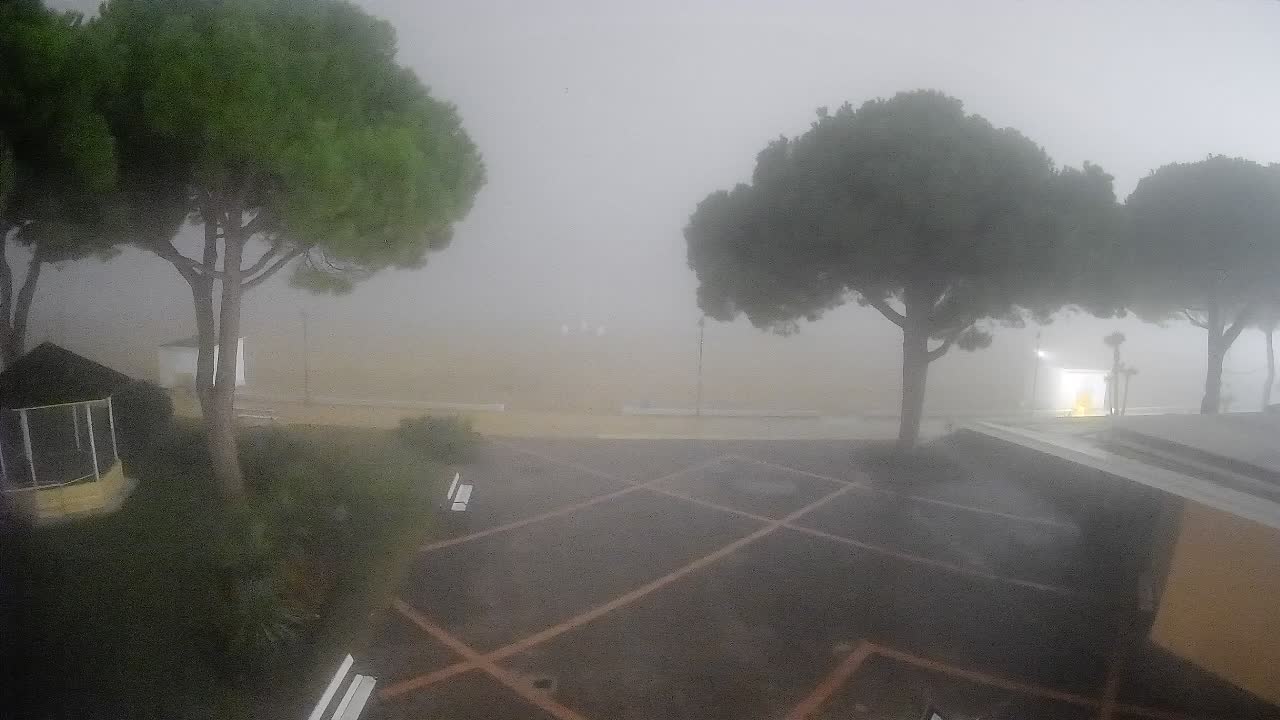 Gradež Vhod na Plažo: Pogled v Živo na Obalo