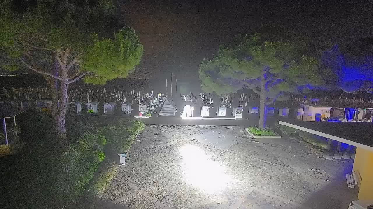 Gradež Vhod na Plažo: Pogled v Živo na Obalo