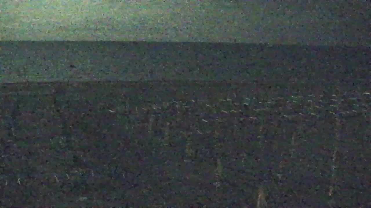 Live-Webcam Grado: Strand- und Aquapark-Ausblicke in Echtzeit