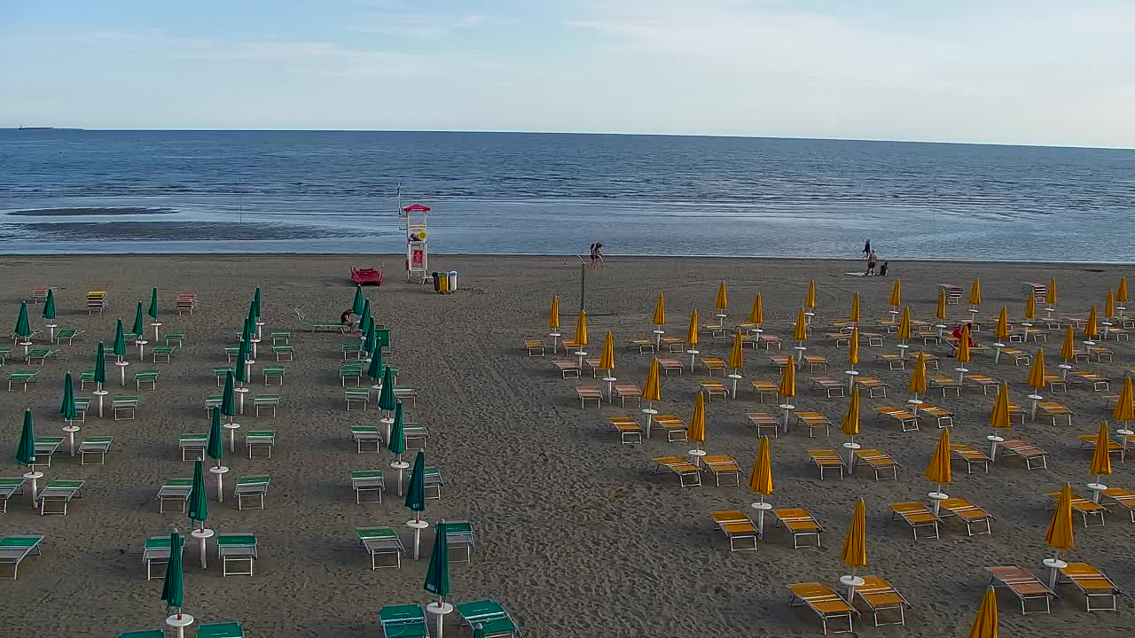 test grado01