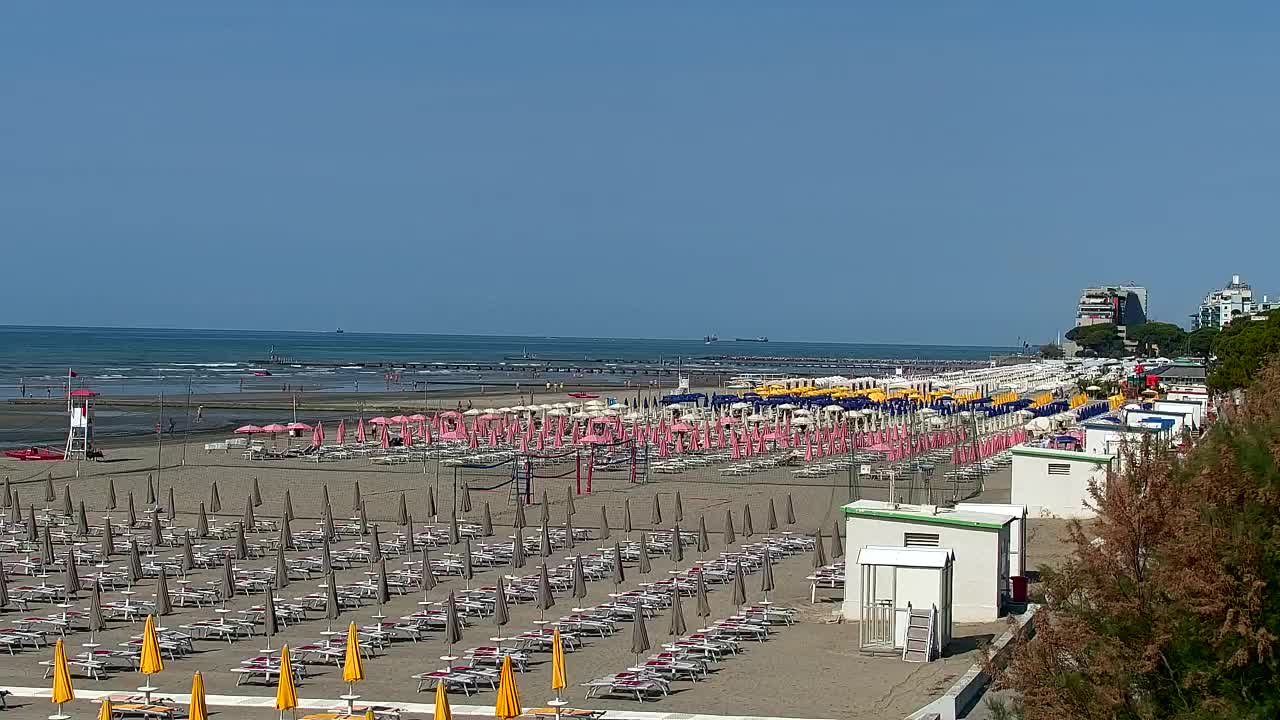 test grado01