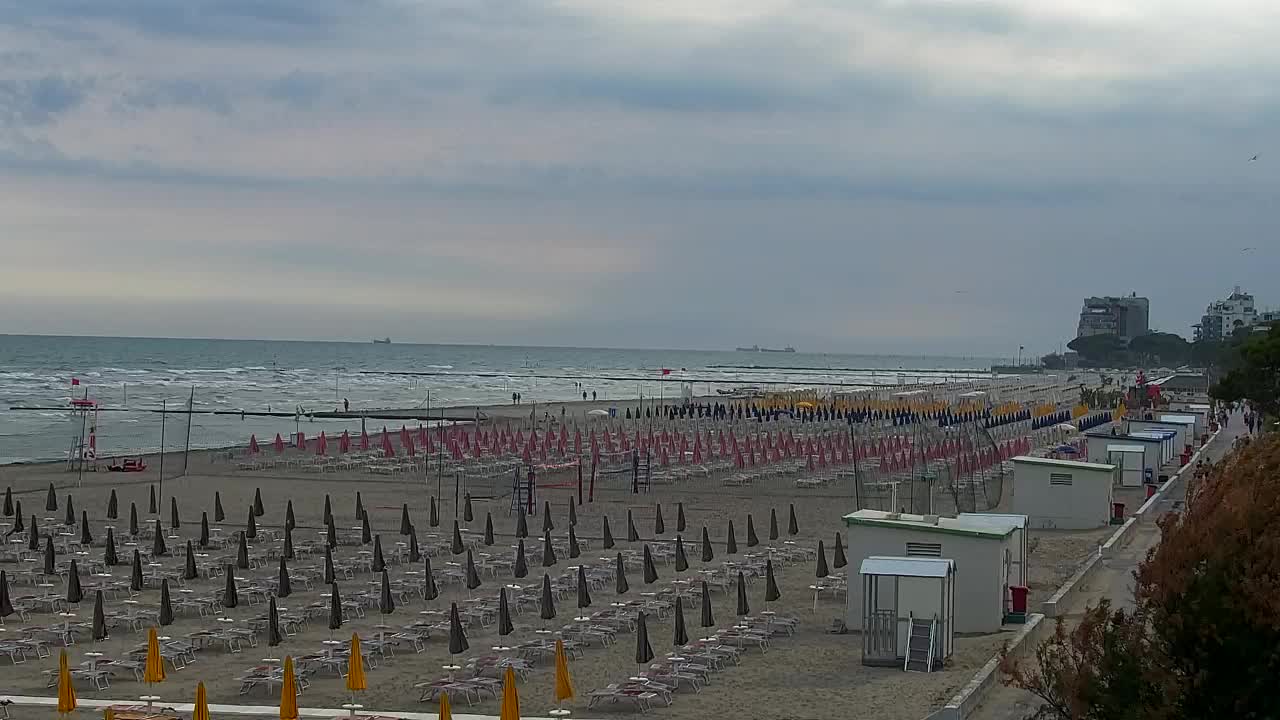 test grado01