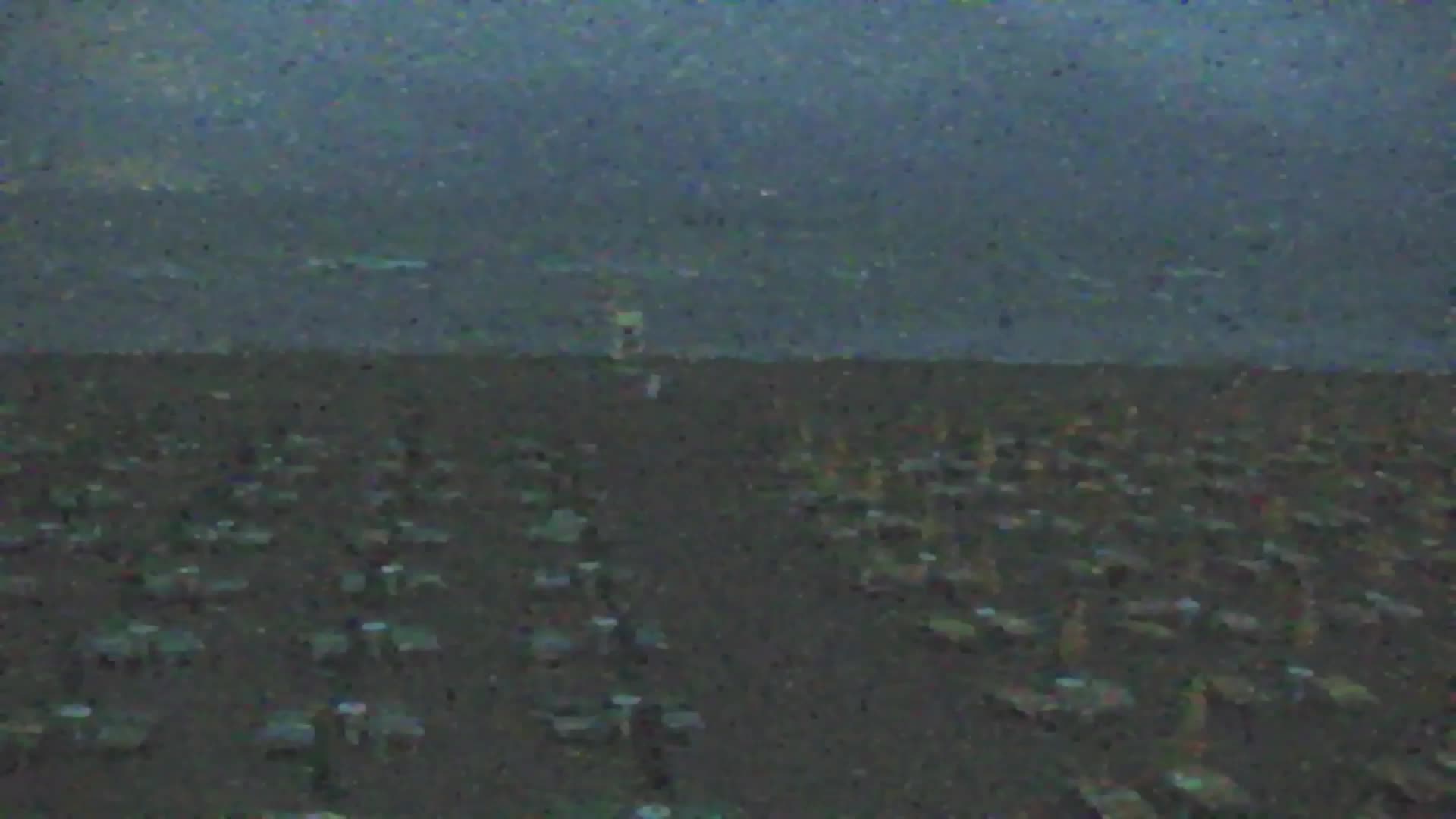 Webcam en vivo Grado: Vistas de la playa y del parque acuático en tiempo real