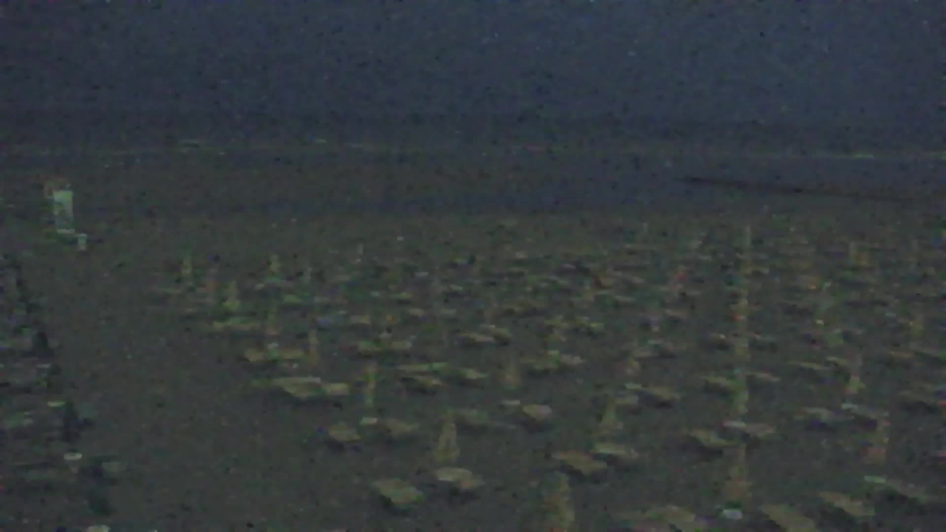 Webcam Grado – Beach & Aquapark