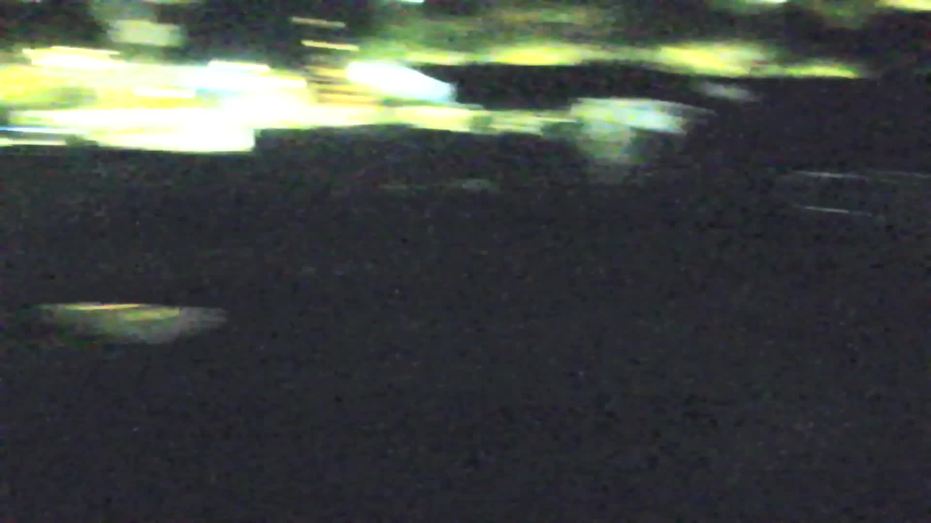 Webcam Grado – Beach & Aquapark