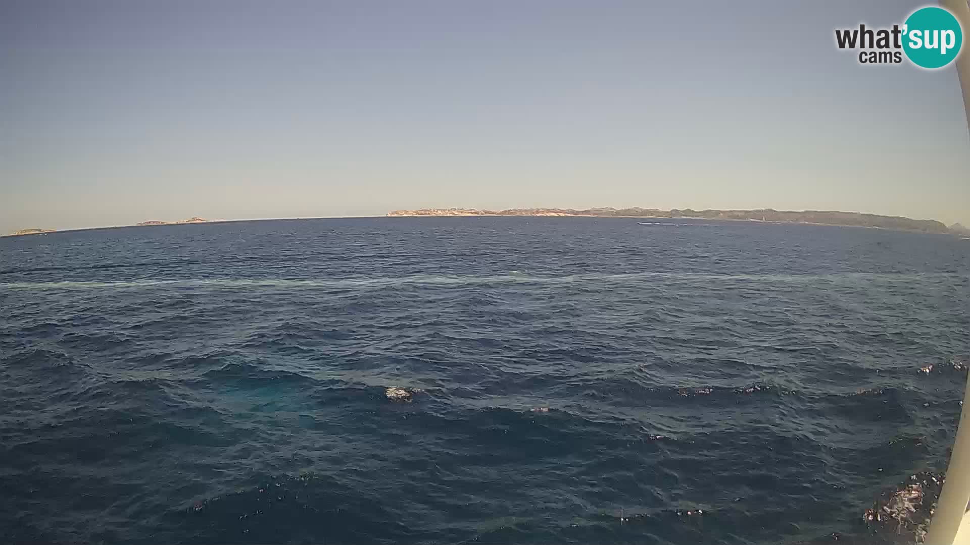 The boat Lo Squalo IV – live webcam arcipelago La Maddalena – Sardinia – Italy