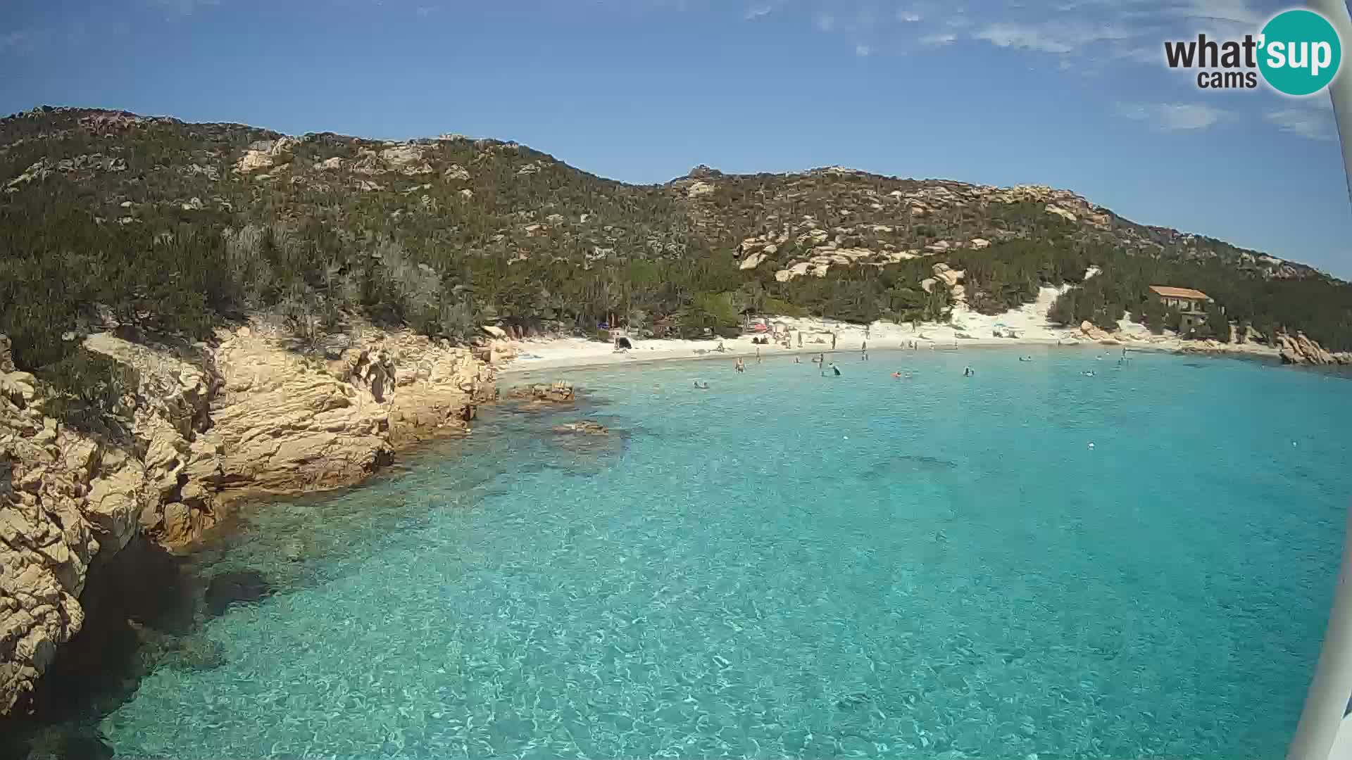 The boat Lo Squalo IV – live webcam arcipelago La Maddalena – Sardinia – Italy