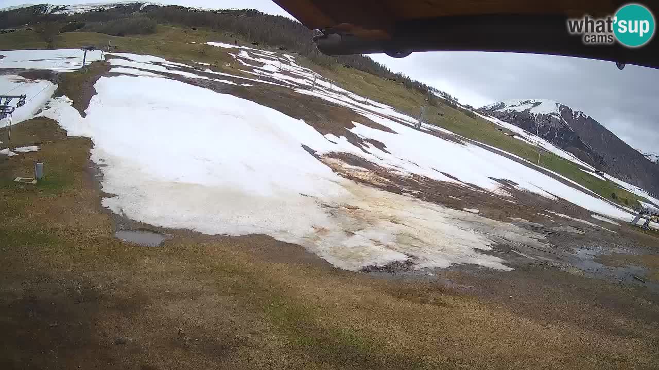 Livigno webcam – view on Livigno Ski School area – LivignoGO