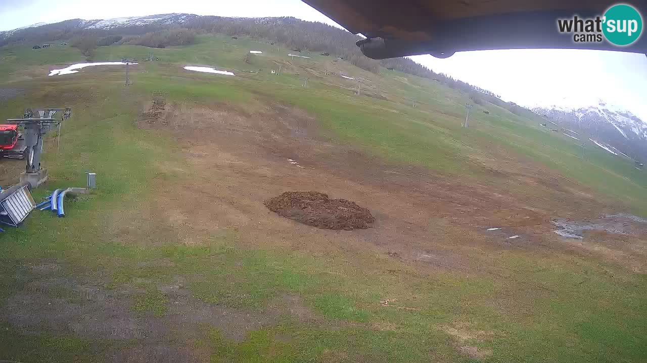 Livigno webcam – view on Livigno Ski School area – LivignoGO