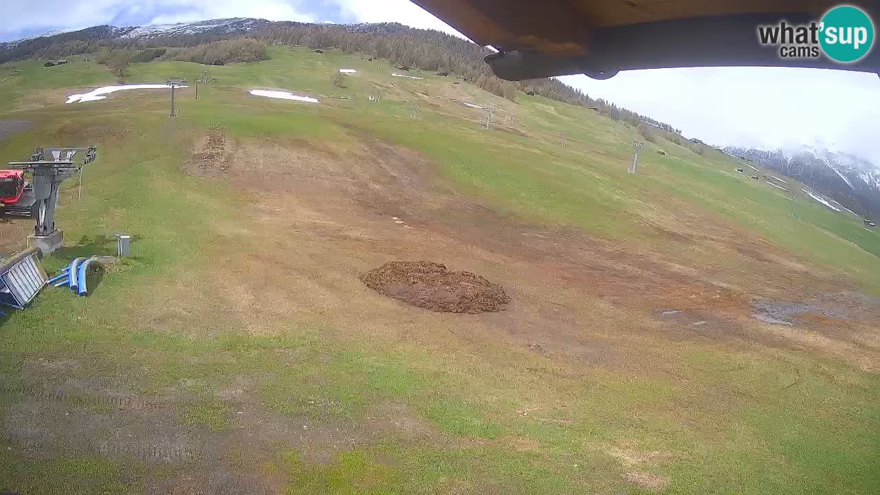 Livigno live webcam – view on Livigno Ski School area – LivignoGO