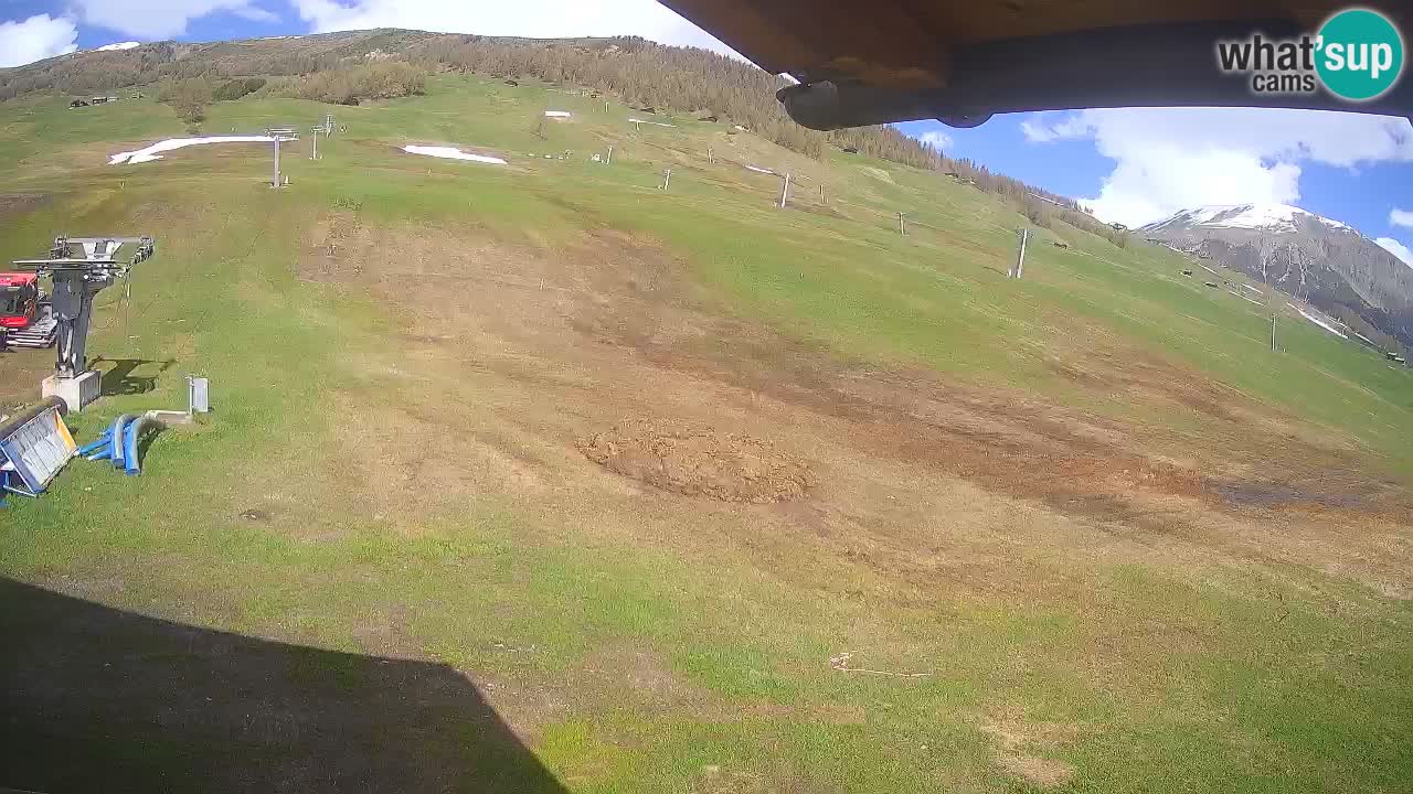 Livigno webcam – Livigno Ski School area – LivignoGO