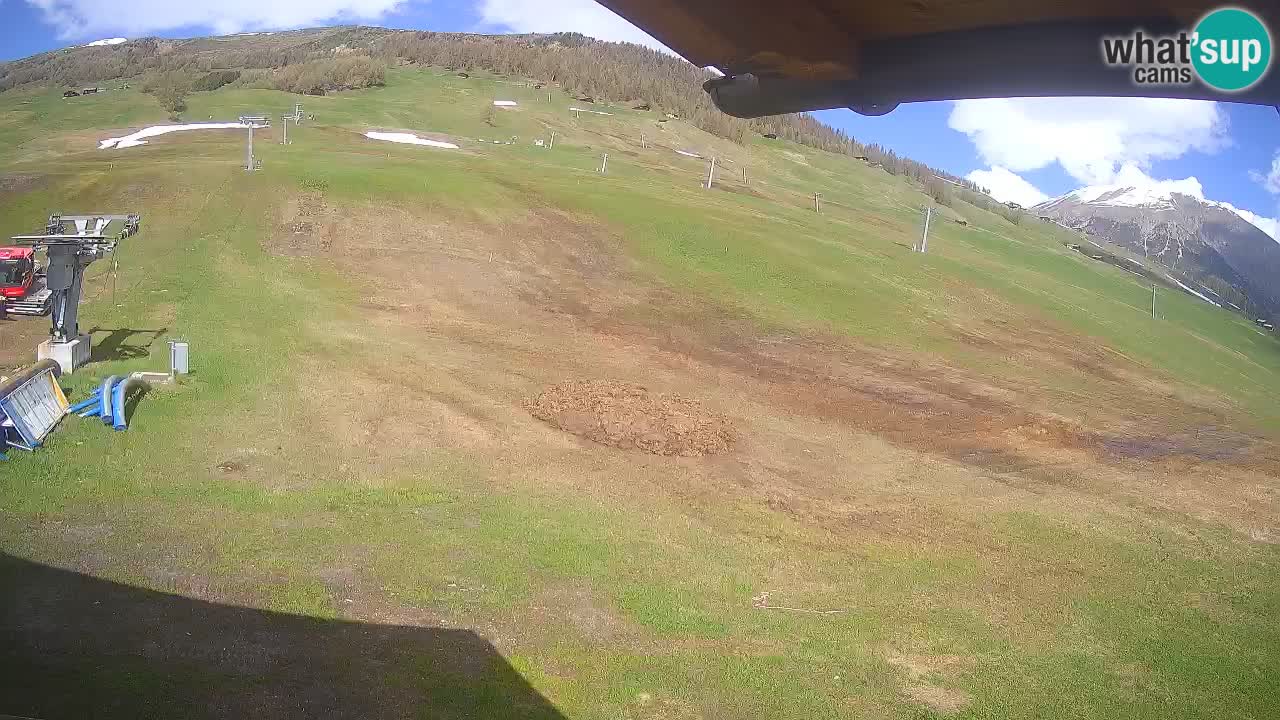 Livigno webcam – view on Livigno Ski School area – LivignoGO