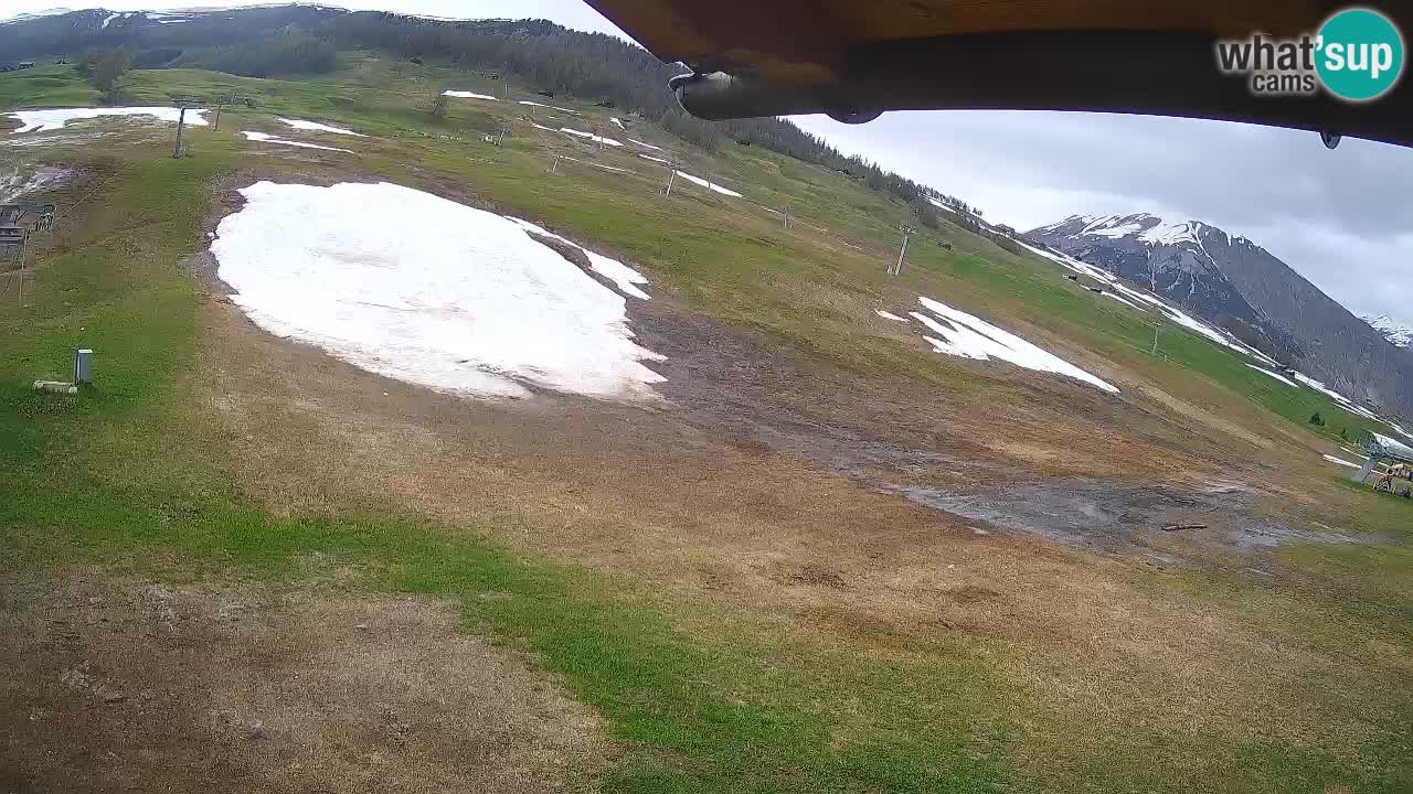 Livigno webcam – view on Livigno Ski School area – LivignoGO