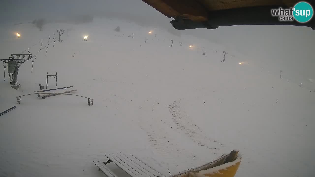 Livigno SKI webcam | Piste da SCI