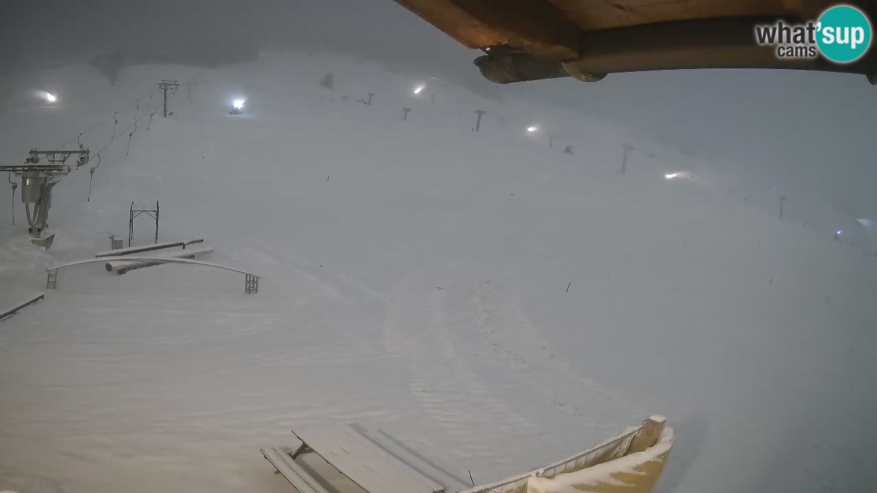 Livigno SKI webcam | Piste da SCI