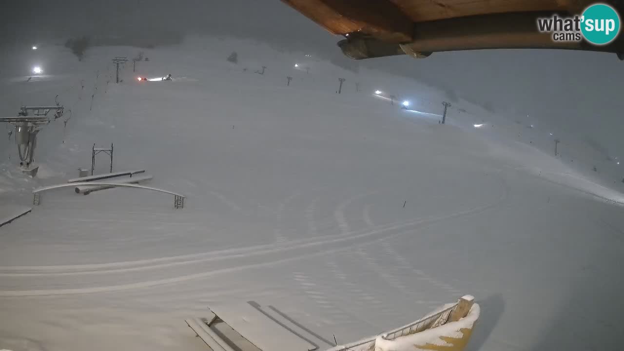 Livigno SKI webcam | Piste da SCI