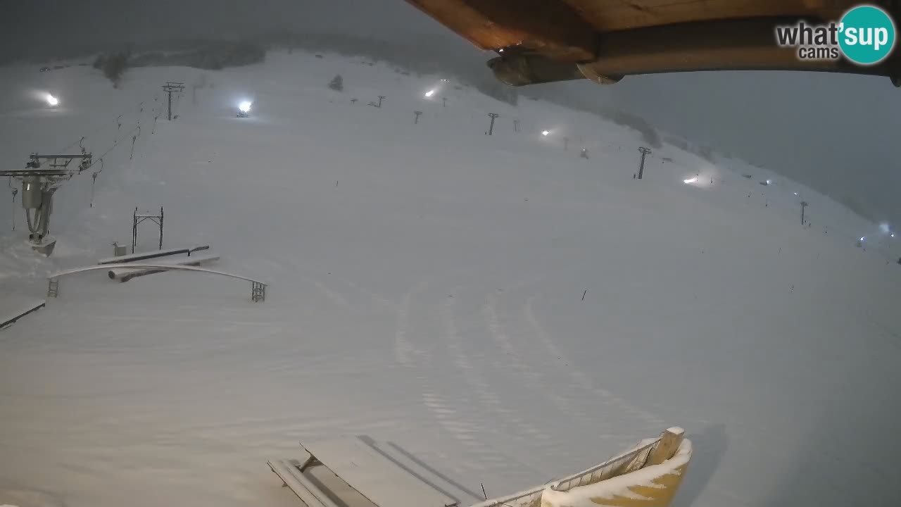 Livigno SKI webcam | Piste da SCI