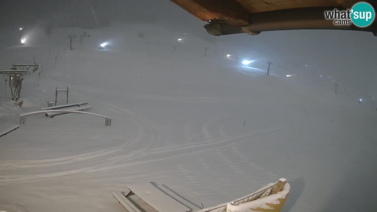 Livigno SKI webcam | Piste da SCI