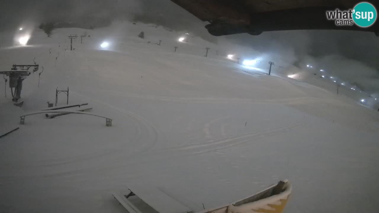 Livigno SKI webcam | Piste da SCI