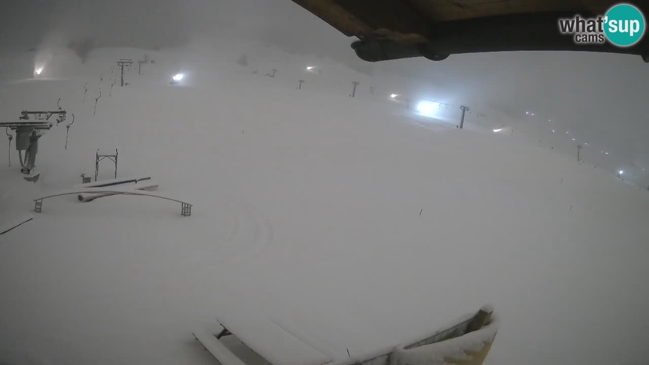 Livigno webcam – view on Livigno Ski School area – LivignoGO