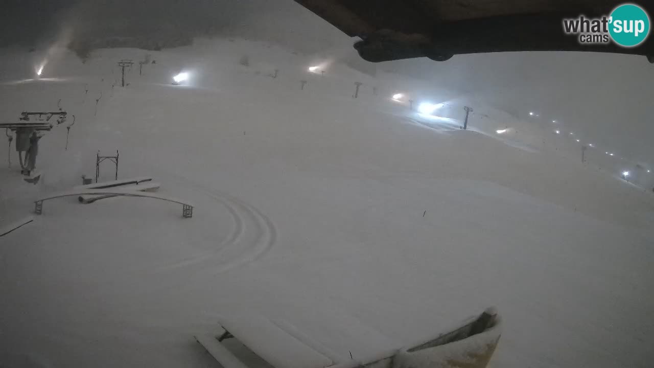 Livigno SKI webcam | Piste da SCI