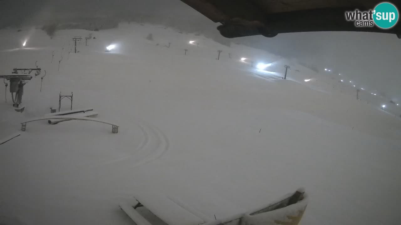 Livigno SKI webcam | Piste da SCI