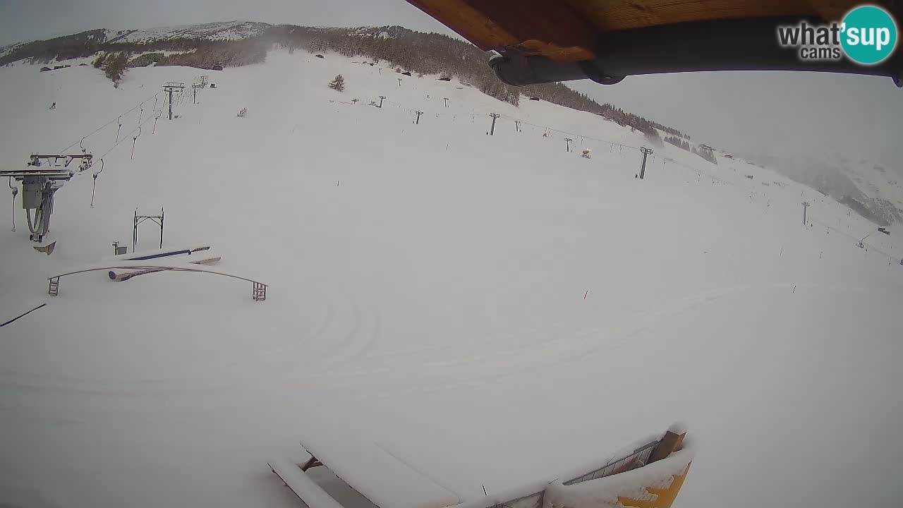 Livigno LIVE cam smučišče | pogled na smučarske proge