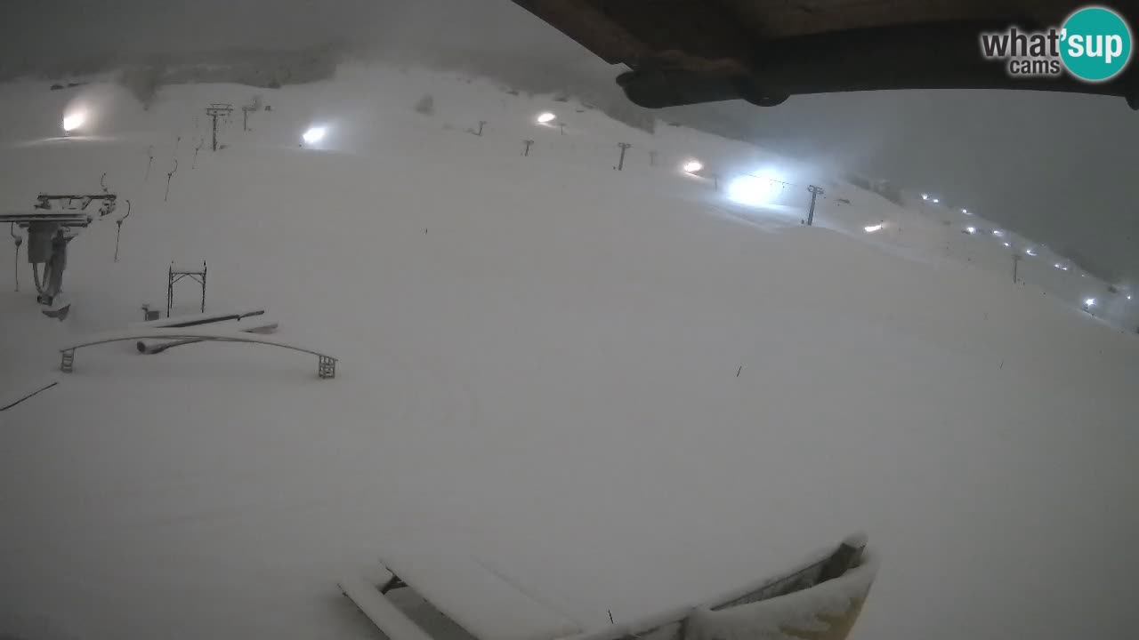 Livigno SKI webcam | Piste da SCI