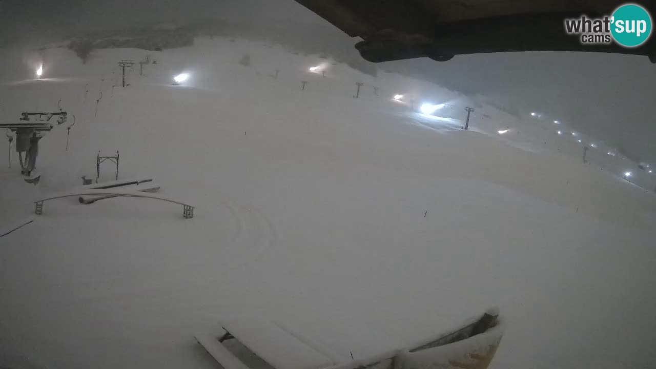 Livigno SKI webcam | Piste da SCI