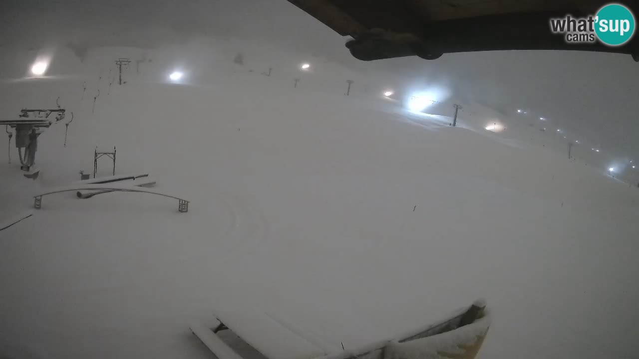 Livigno webcam – view on Livigno Ski School area – LivignoGO