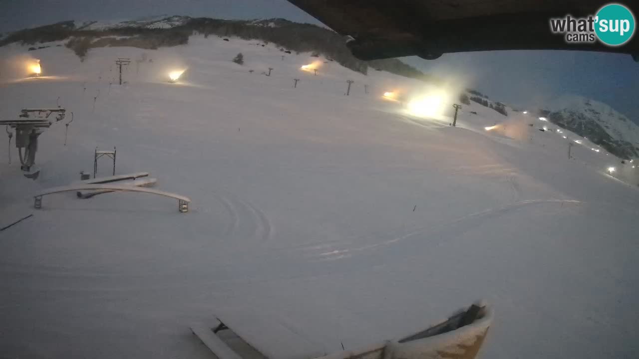 Livigno LIVE cam smučišče | pogled na smučarske proge