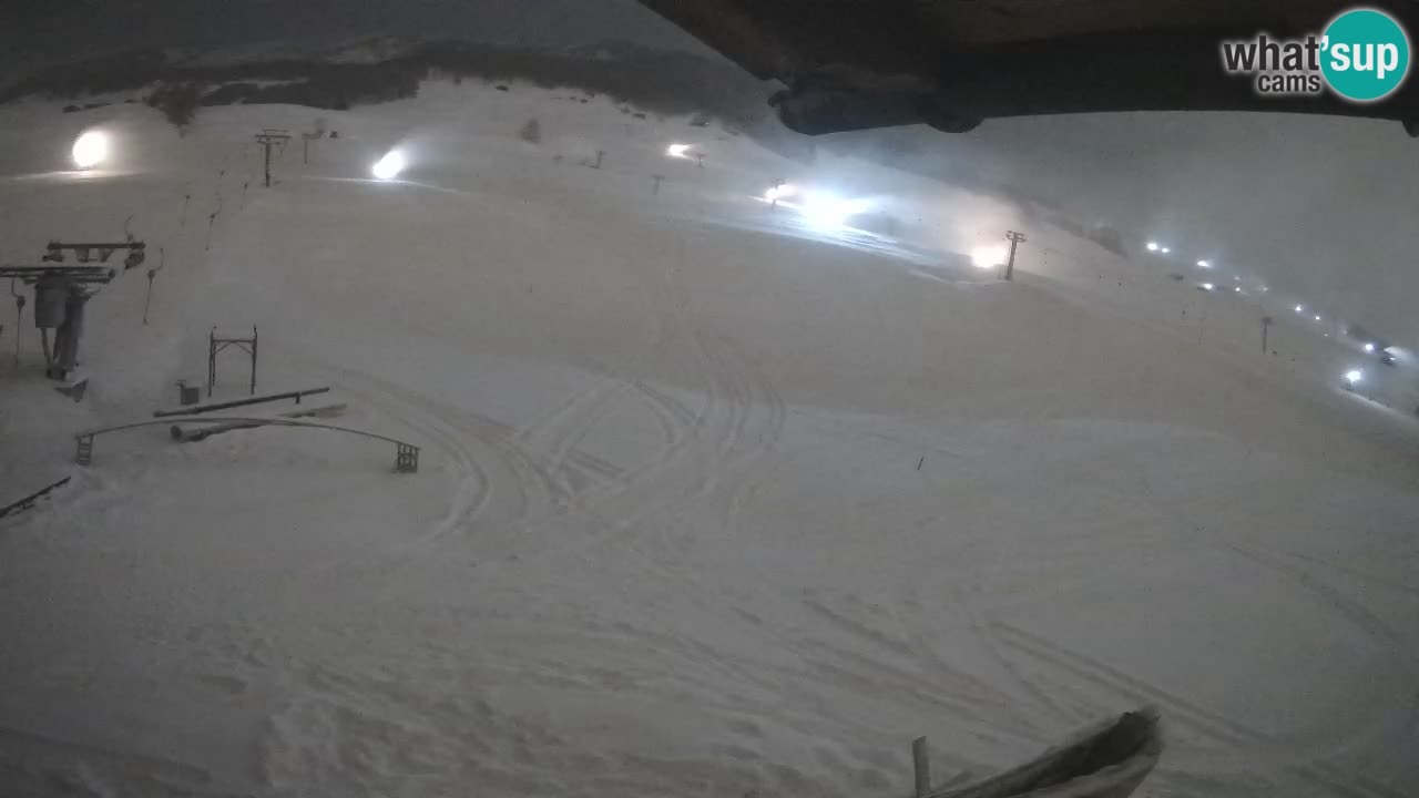 Livigno webcam – view on Livigno Ski School area – LivignoGO