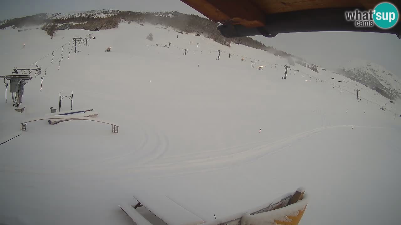 Livigno webcam – view on Livigno Ski School area – LivignoGO