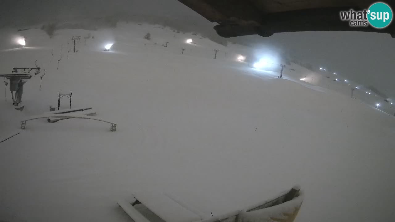 Livigno SKI webcam | Piste da SCI