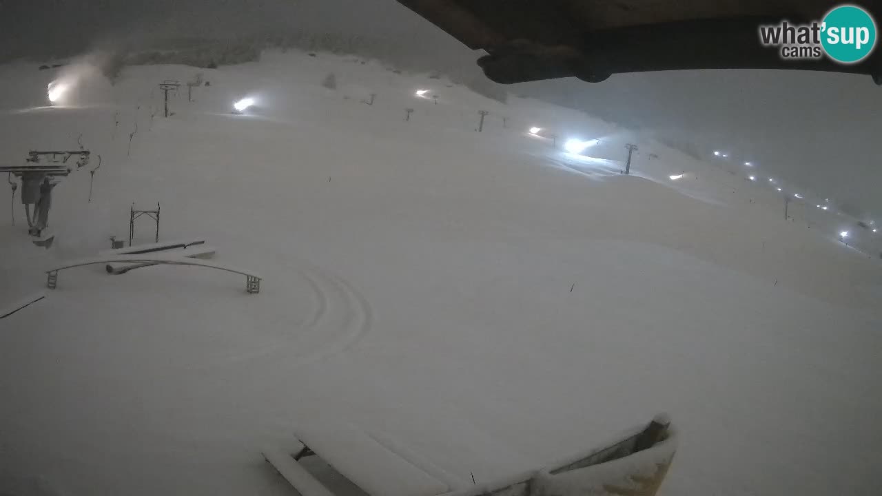 Livigno webcam – view on Livigno Ski School area – LivignoGO