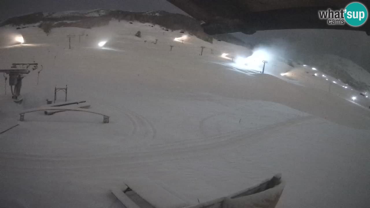 Livigno webcam – view on Livigno Ski School area – LivignoGO