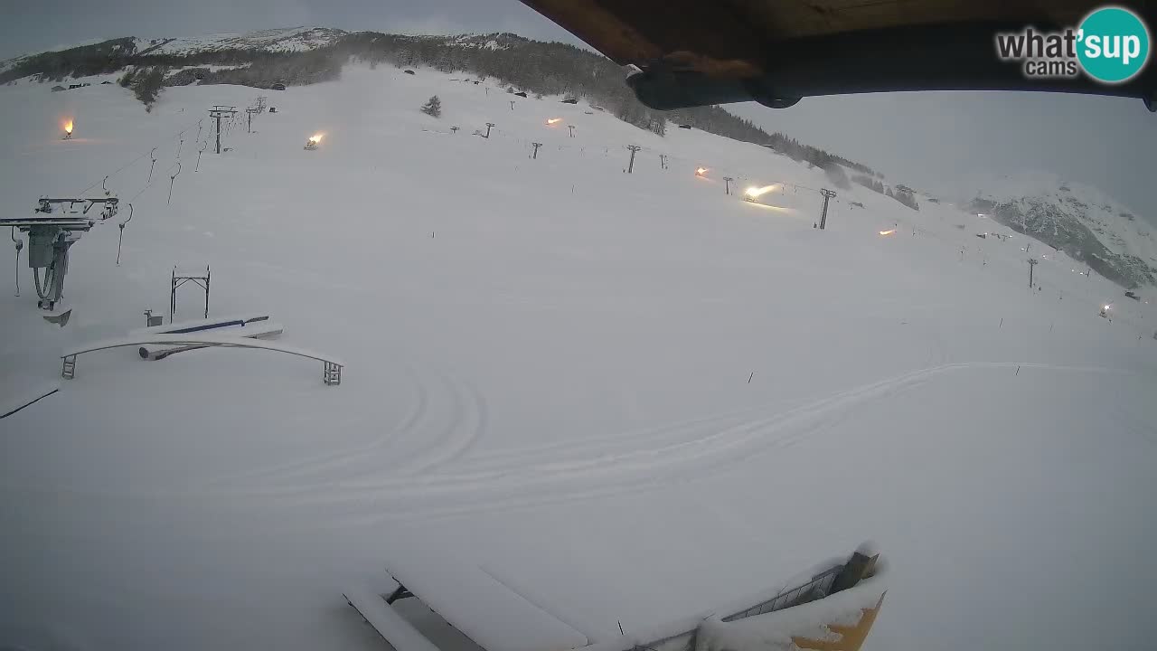 Livigno SKI webcam | Piste da SCI