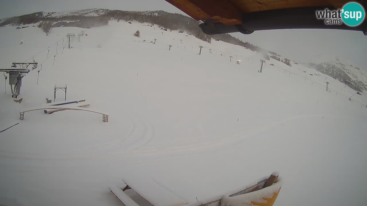 Livigno LIVE cam smučišče | pogled na smučarske proge